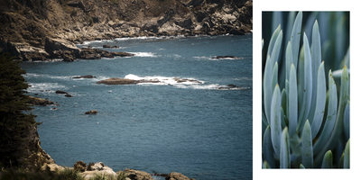 Timber Cove Resort Luxury Wedding Photographer