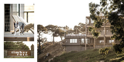 Reception Editorial Wedding Photography Timber Cove