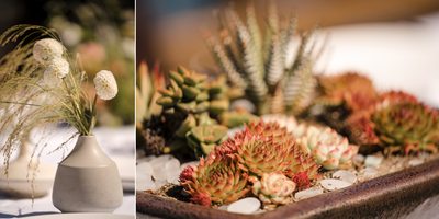 Timber Cove Sonoma Coast Wedding Photography