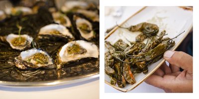 Timber Cove Sonoma Coast Wedding Photographer