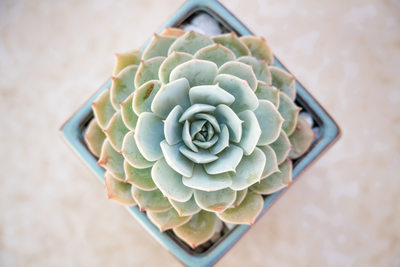 Santa Barbara Bacara Resort Spa Wedding Photographer