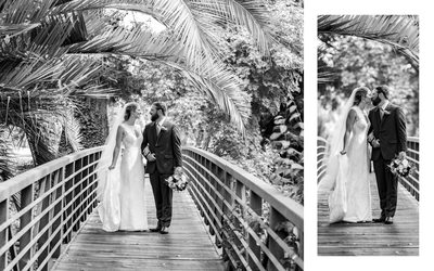Wedding Napa Silverado Resort Photographers