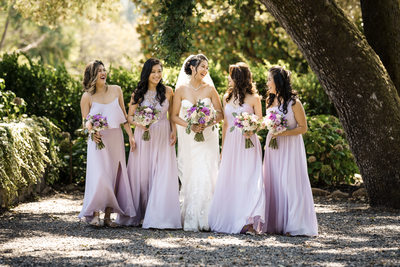 Annadel Estate Winery Napa Valley Wedding Photographer