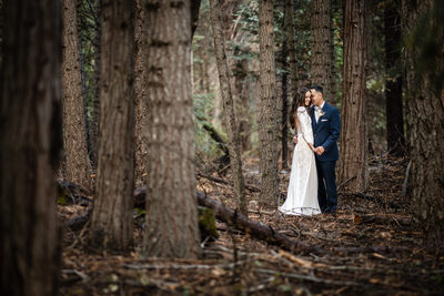 Sierra Foothills Wedding Photographers