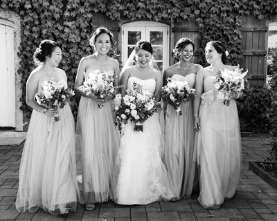 Viansa Wedding Photographers 