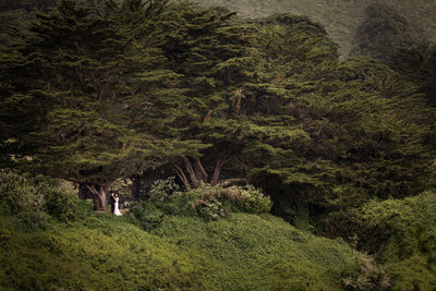 Big Sur Wedding Photography
