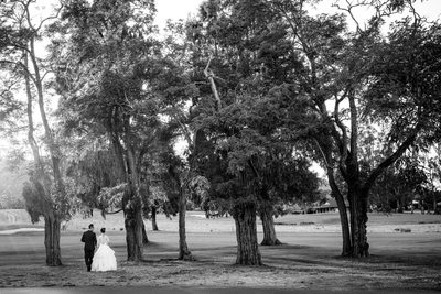 Fine Art Wedding Photographers Napa 