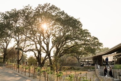 Wedding Reception Healdsburg Wedding Event Photography
