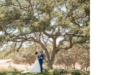 Paso Robles Wedding Photography