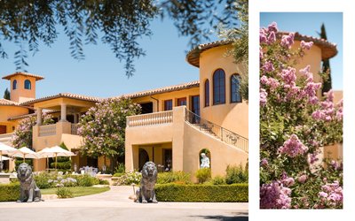 Paso Robles Wedding Photographer