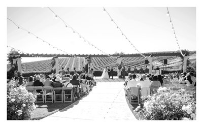 Best Paso Robles Wedding Photography