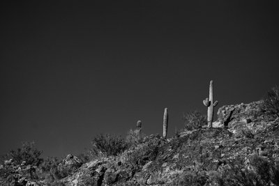 On Location Photography