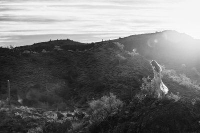 Coaching and Mentoring for Outdoor Photography