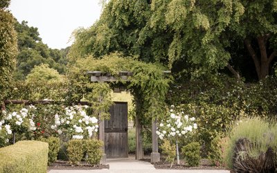 Carmel California Wedding Photographer