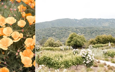 Top Carmel Wedding Photographer