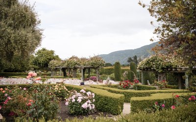 Carmel Wedding Storytelling Photographer