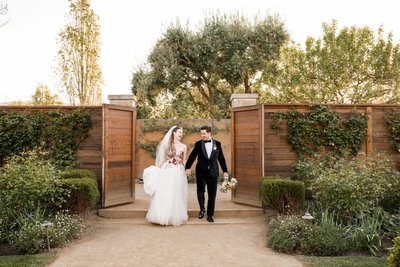 Sonoma Wine Country Wedding Photographers