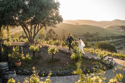Viansa Sonoma Editorial Wedding Photographer