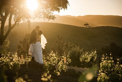 Sunset Viansa Sonoma Documentary Wedding Photographer