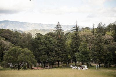 Private Estate Wedding Photography Horse-Drawn Carriage