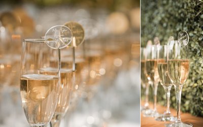 Cocktail Hour Best Napa Valley Wedding Photographers