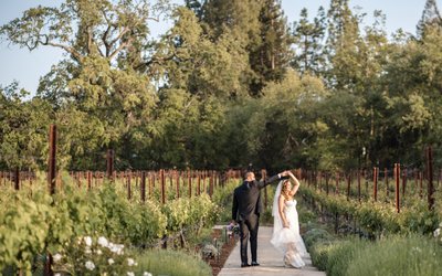 Reception Napa and Sonoma Valley Wedding Photography