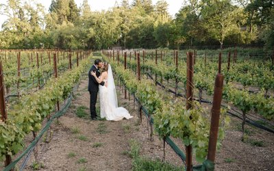 Luxury Napa Wedding and Portrait Photographer