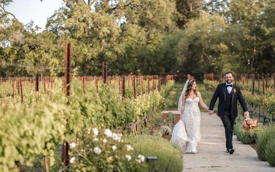 Estate Yountville Fine Art Luxury Wedding Photography