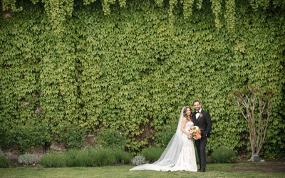 Estate Yountville Luxury Wedding Photographer