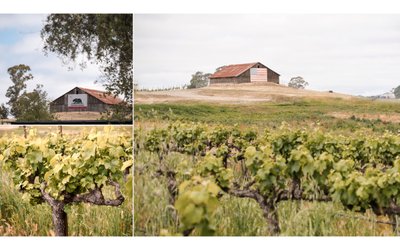 Stanly Ranch Auberge Napa Wedding Photography