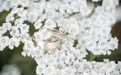 Stanly Ranch Auberge Wedding Rings