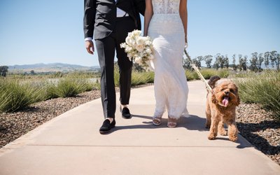 Infinity Stanly Ranch Auberge Wedding Photographer