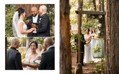 Wedding Ceremony Beringer Vineyards Best Photographer