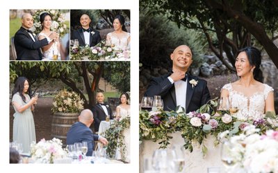 Toasts Napa Valley Wedding Photographer