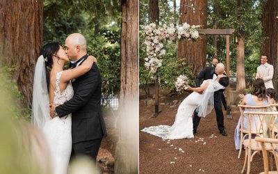 Ceremony Redwoods Beringer Vineyards Photographers