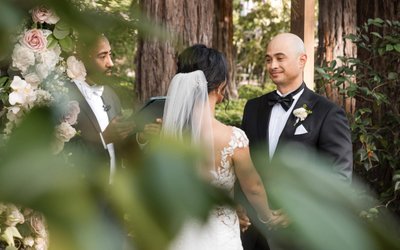 Best Ceremony Beringer Vineyards Wedding Photography