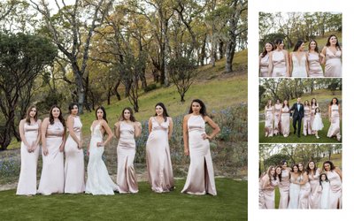 Editorial Wedding Montage Healdsburg