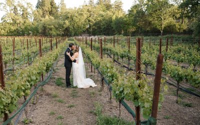 Luxury Napa Wine Country Wedding Photographers