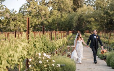 Luxury Napa Wine Country Wedding Photography