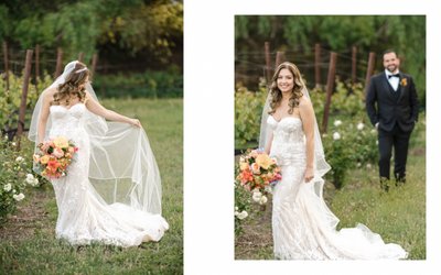 Luxury Wine Country Wedding Photos