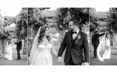 Luxury Napa Wedding Photography Portfolio