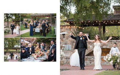 Estate Yountville Wedding Reception Photos 