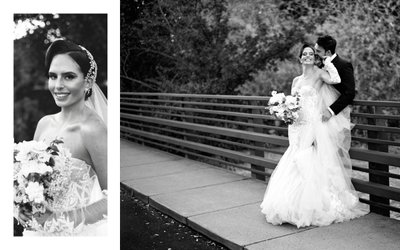 Napa Wedding Photographers Solage