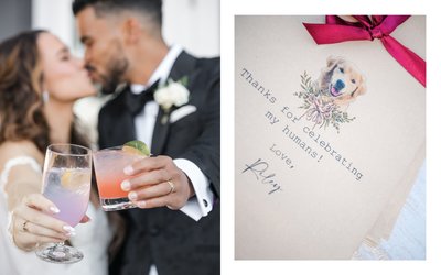 Napa Wedding Photography Studio
