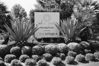 Luxury Solage Wedding Photographer Calistoga
