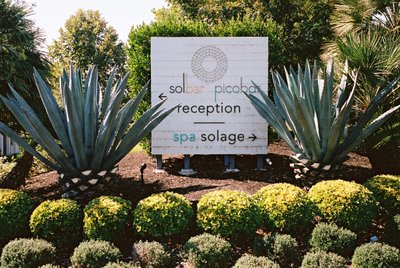 Luxury Solage Wedding Photography Calistoga