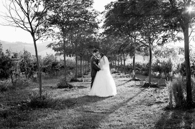 Sonoma Film Wedding Photographers