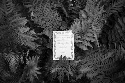 Santa Cruz Wedding Photography The Hollins House 