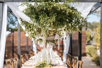 Napa Destination Wedding Photographers