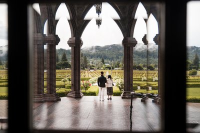 Luxury Engagement Photographers Ledson Winery